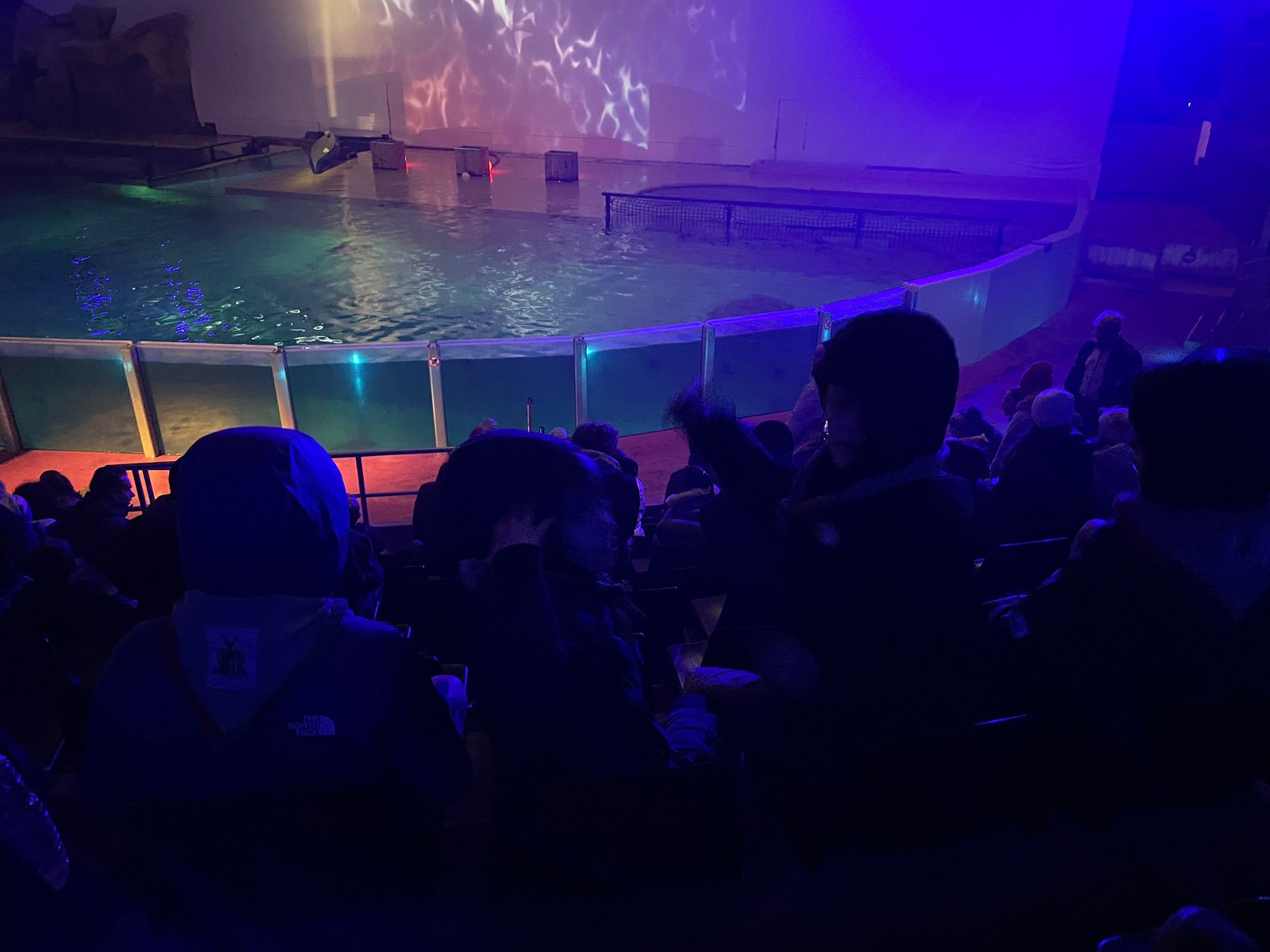 Sint-Martinus den XIIde - Winterkamp JVK 2024